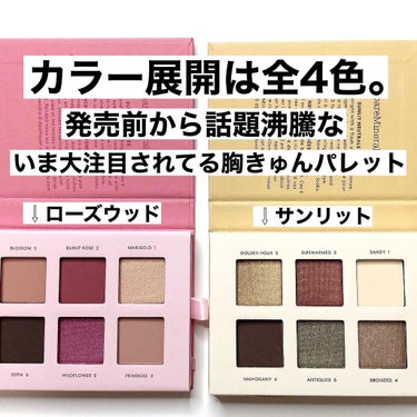 ミネラリスト アイシャドウ パレット/bareMinerals/アイシャドウパレットを使ったクチコミ（4枚目）