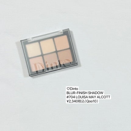 ブラーフィニシュシャドウパレット/Dinto/アイシャドウパレットを使ったクチコミ(8枚目)