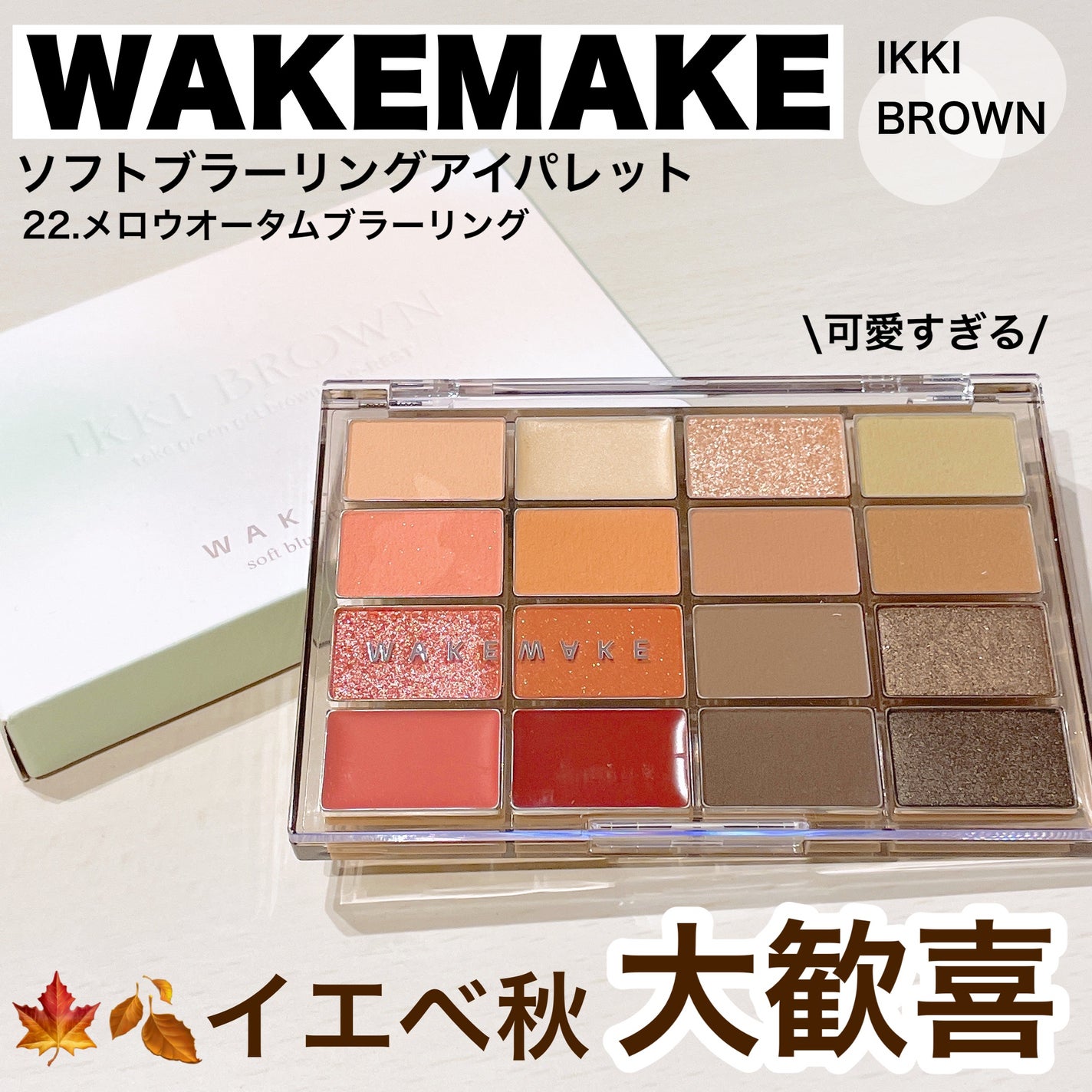ソフトブラーリングアイパレット/wakemake/アイシャドウパレットを使ったクチコミ(1枚目)