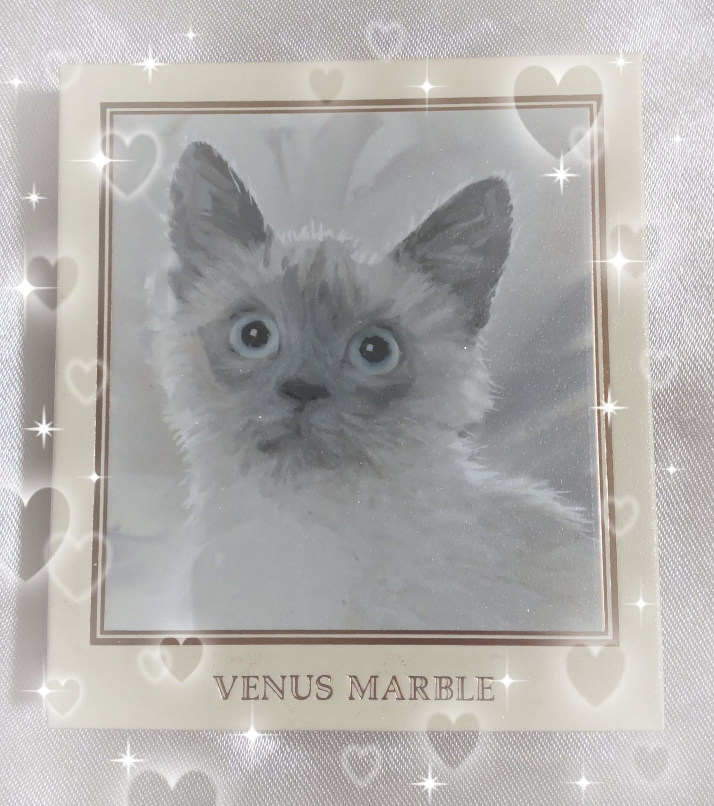 Venus Marble アイシャドウキャットシリーズ/Venus Marble/アイシャドウパレットを使ったクチコミ(1枚目)