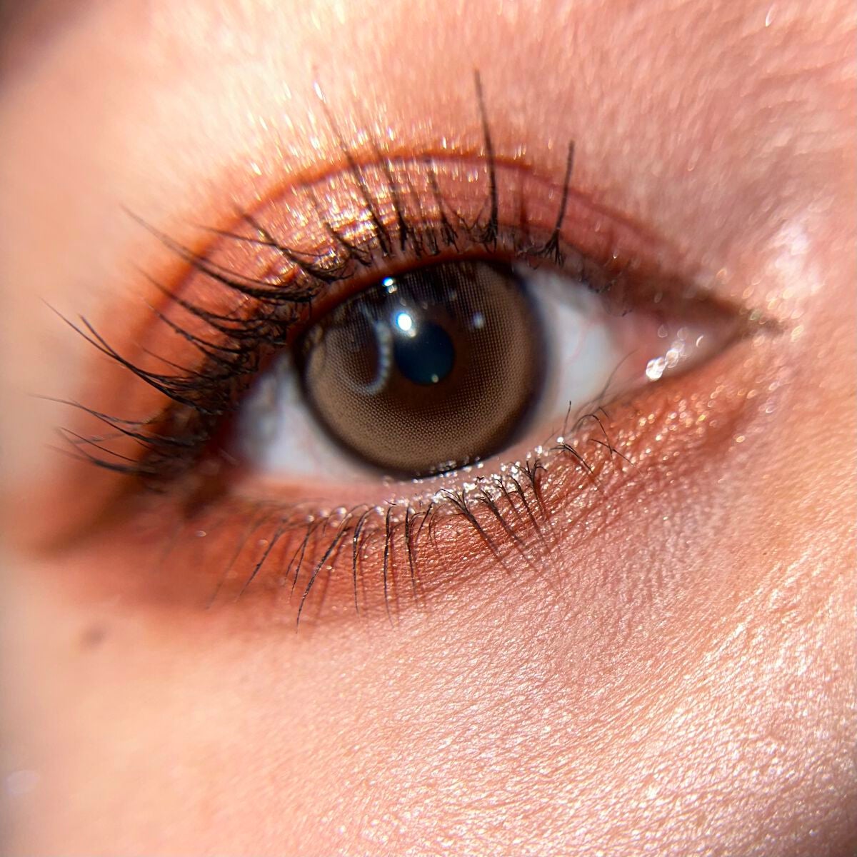 Dewy Kristin Monthly - ブラウン/Hapa kristin/カラーコンタクトレンズを使ったクチコミ(4枚目)