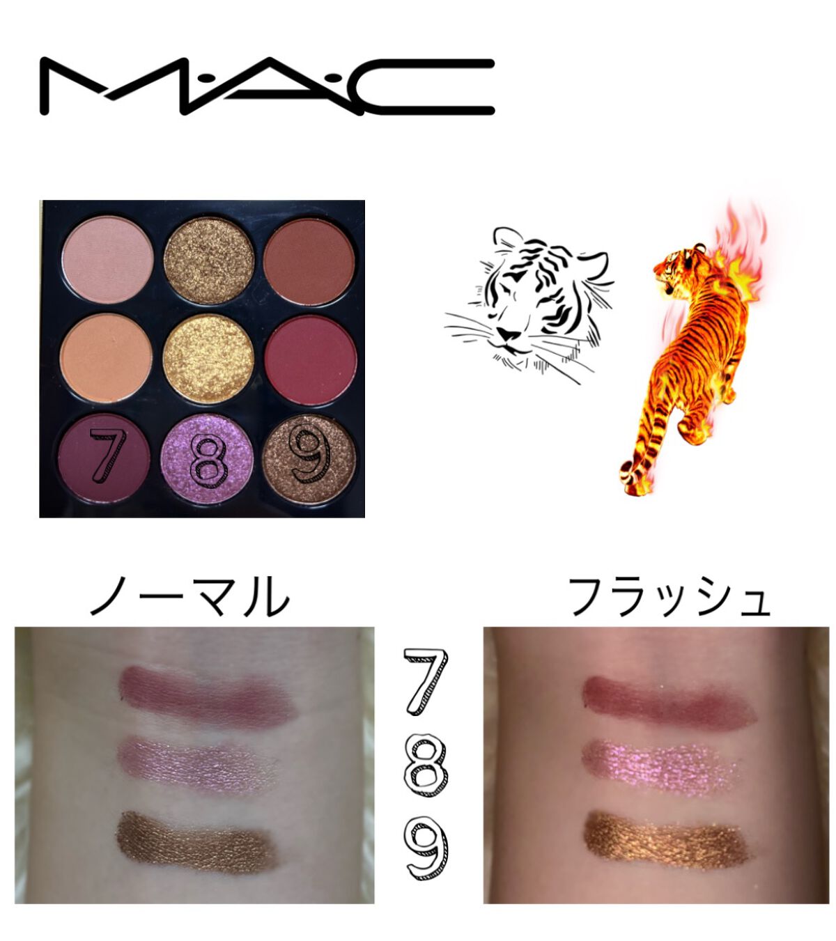 アイシャドウ × 9:メイド マイ フォーチュン/M・A・C/アイシャドウパレットを使ったクチコミ(5枚目)