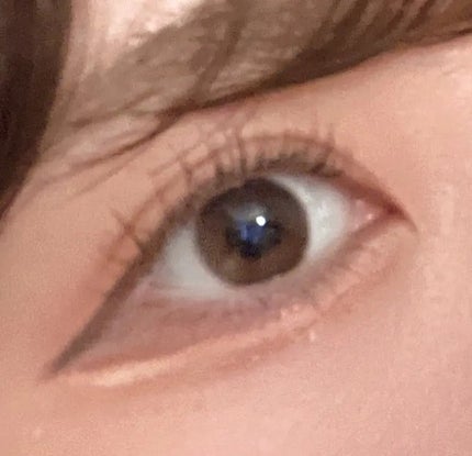 ããŒãã§ã¯ããšã¯ã¹ãã³ã·ã§ã³ ãã¹ã«ã©/D-UP/ãã¹ã«ã©ã䜿ã£ãã¯ãã³ãïŒ1æç®ïŒ