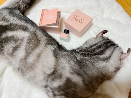 フォエリー インナーパフューム シトラスフルールの香り/Foellie/香水(その他)を使ったクチコミ(2枚目)