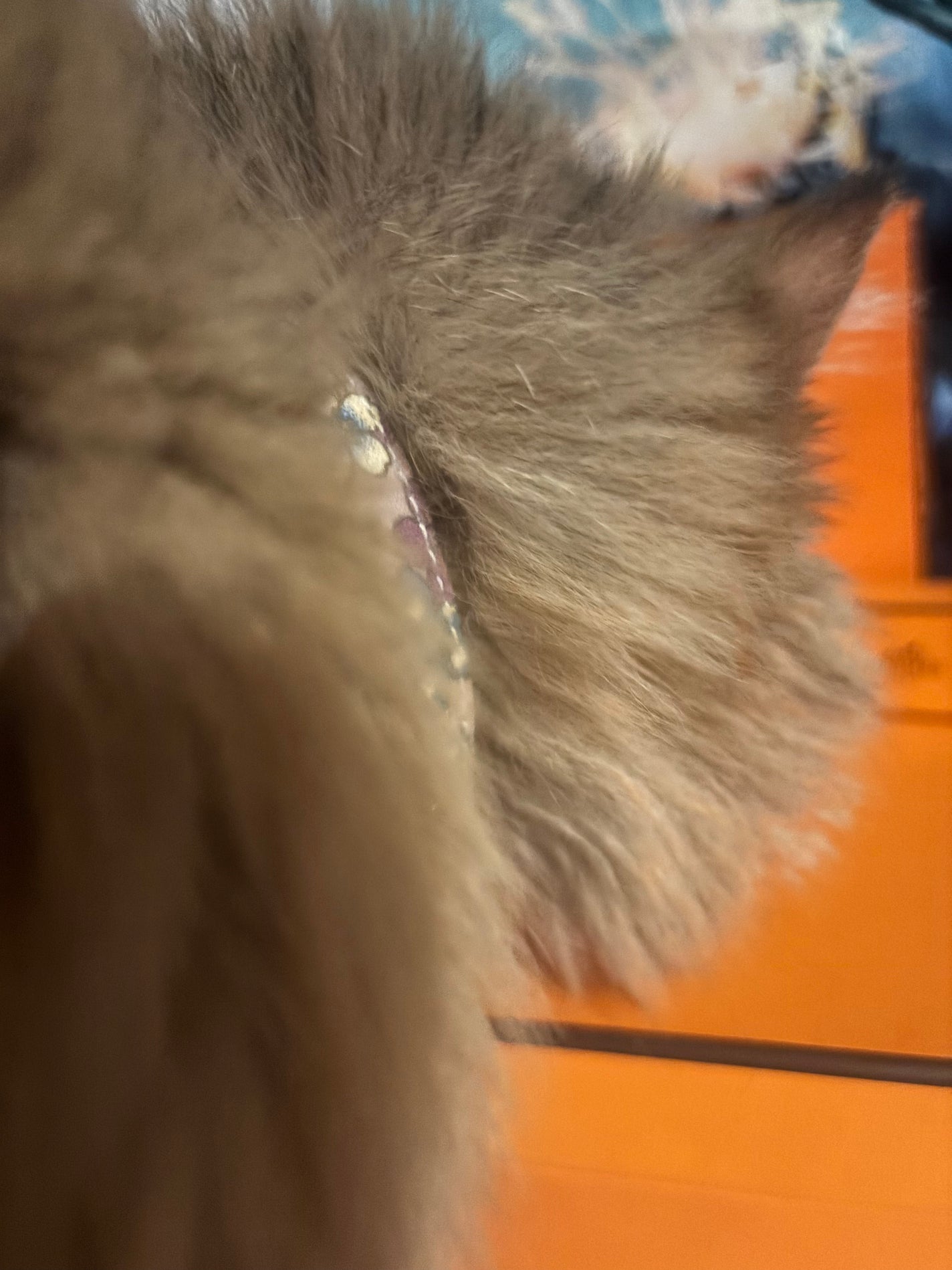 エイジングケア薬用美白乳液/無印良品/乳液を使ったクチコミ(8枚目)