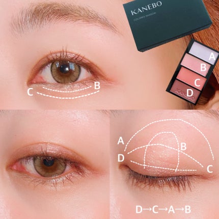 カラードシャドウ/KANEBO/アイシャドウパレットを使ったクチコミ(2枚目)