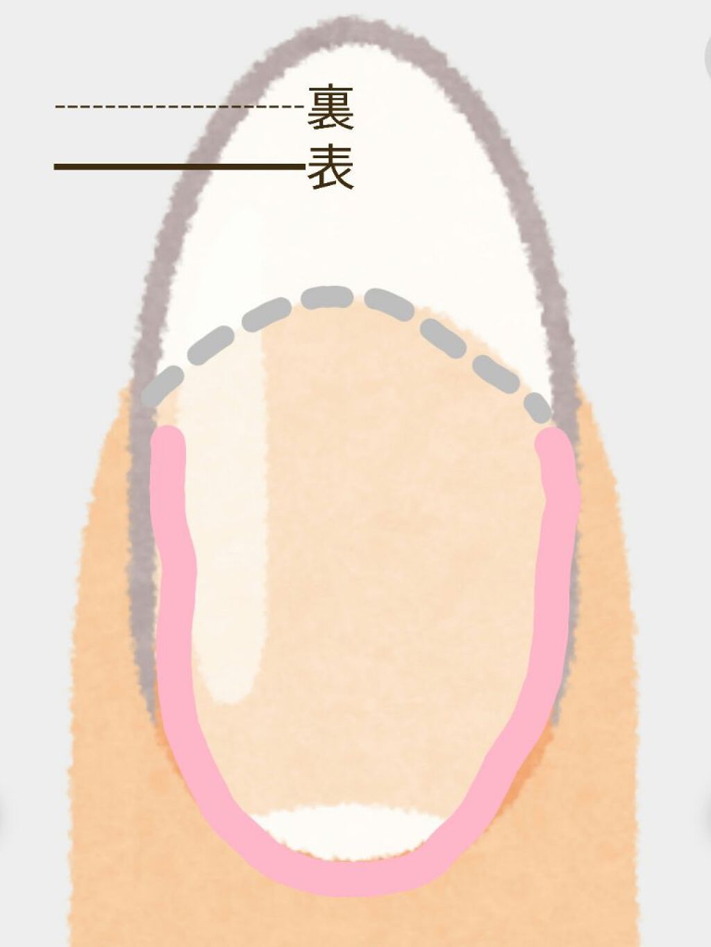 ガラス爪ヤスリ/DAISO/ネイル用品を使ったクチコミ（3枚目）