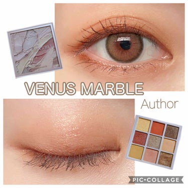 VenusMarble 9色アイシャドウパレット/Venus Marble/パウダーアイシャドウを使ったクチコミ（1枚目）