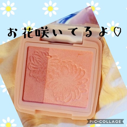 パウダー ブラッシュ/PAUL & JOE BEAUTE/パウダーチークを使ったクチコミ(2枚目)