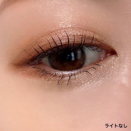 シルキースフレアイズ(マットタイプ)/キャンメイク/アイシャドウパレットを使ったクチコミ(7枚目)