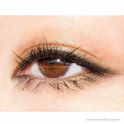 パレットゴールデンランド/GUERLAIN/アイシャドウパレットを使ったクチコミ(4枚目)