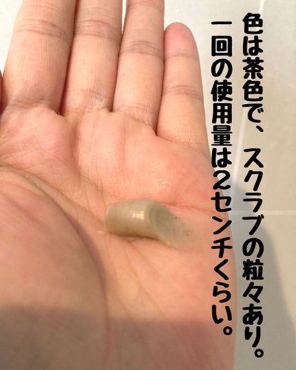 スクラビング マッド ウォッシュ/KANEBO/洗顔フォームを使ったクチコミ(2枚目)