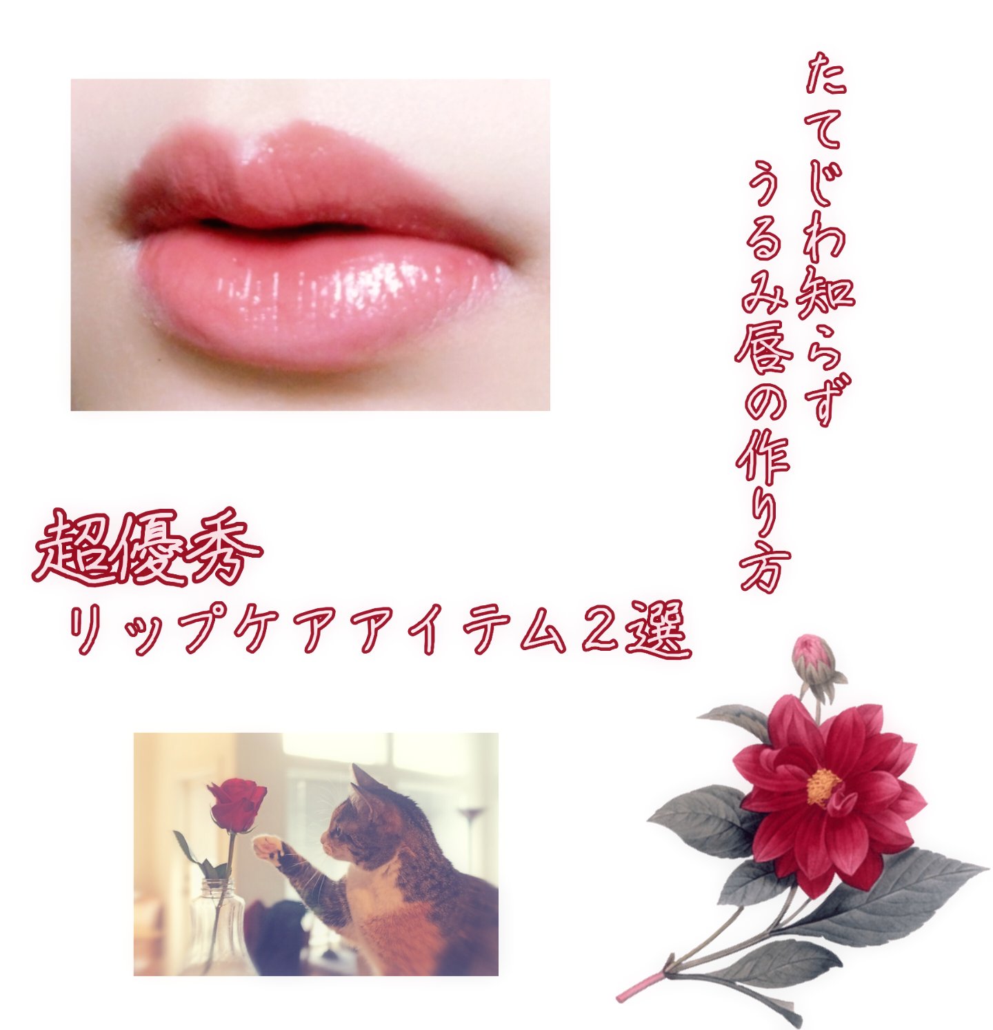 とろけて艶めく、アリスのリップケア💋

寒風が肌を撫で、乾燥が本格的に気になる季節になりましたね。
今回は、乾燥の厳しい季節でも潤いのある唇を保つために私が愛用している、CANMAKEのリップケアアイテムをご紹介いたします。
プチプラでは