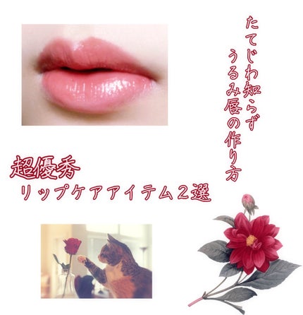 メロウデューリップマスク/キャンメイク/リップマスクを使ったクチコミ(1枚目)