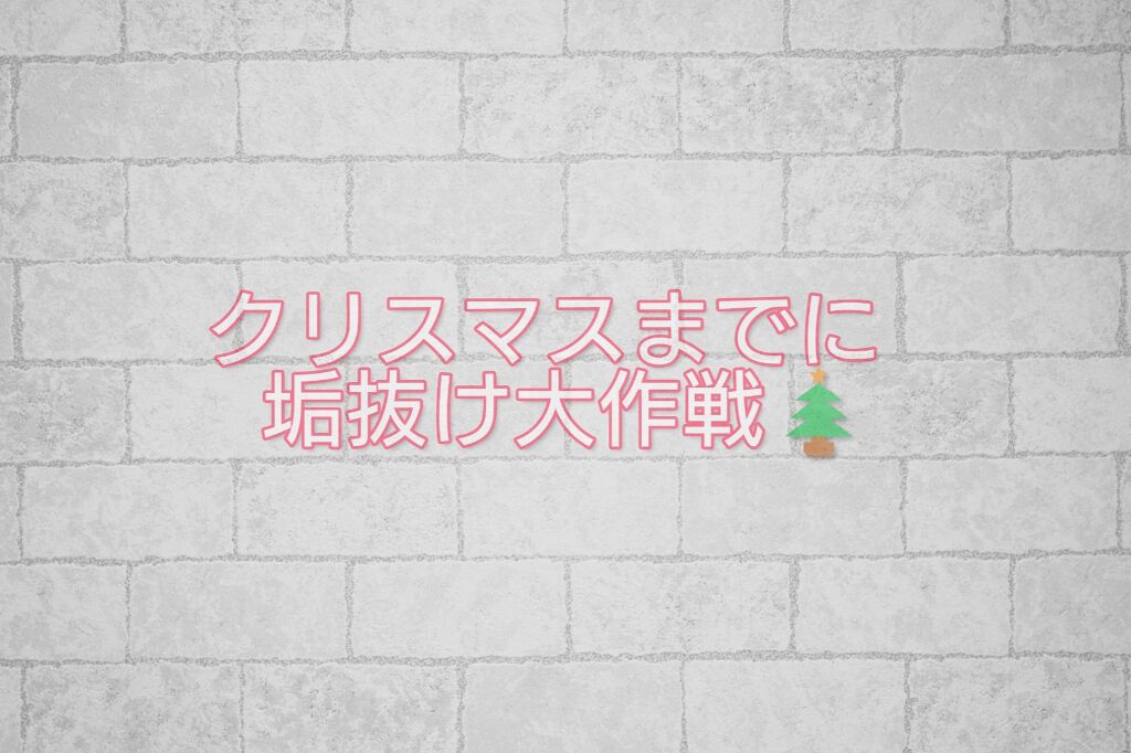 もちち on LIPS 「クリスマスまでに垢抜けよう大作戦☃️チェックリスト式にしてみま..」(1枚目)