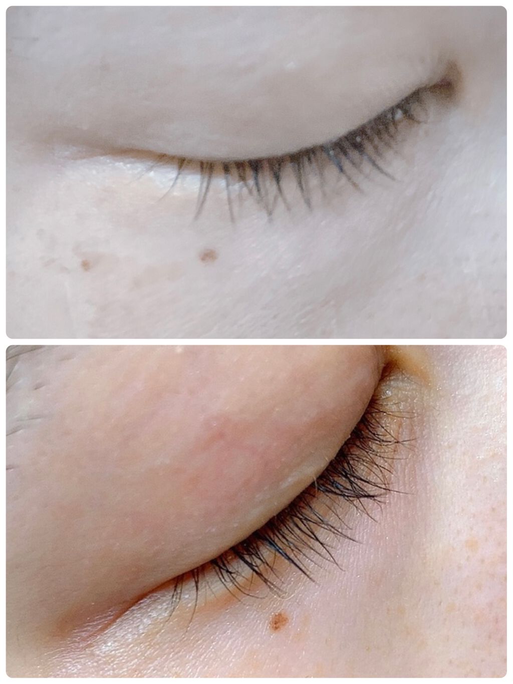 DHCアイラッシュトニック/DHC/まつげ美容液を使ったクチコミ（2枚目）