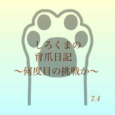 こんにちは、しろくまです🧸

10日経過👏👏

犠牲は右手親指だけに留まりました🙌

1週間でこんなに伸びるのに、なんで今までずっと深爪なんだ、、、と

凹みまくり😩💭

この調子で伸ばし続ける！！！
