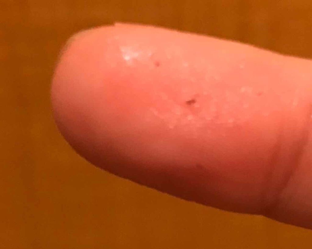 ホホバオイル/無印良品/ボディオイルを使ったクチコミ(2枚目)