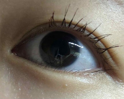 「塗るつけまつげ」自まつげ際立てタイプ/デジャヴュ/マスカラを使ったクチコミ(4枚目)