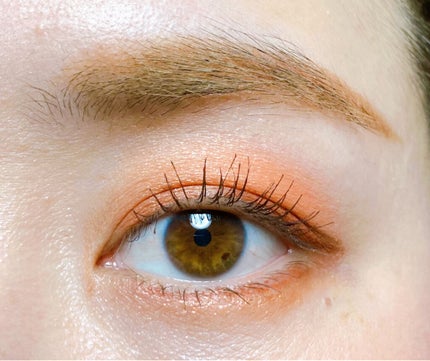 シルキースフレアイズ/キャンメイク/アイシャドウパレットを使ったクチコミ(1枚目)