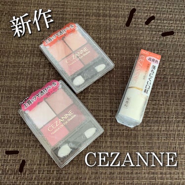 ラスティング リップカラーN/CEZANNE/口紅を使ったクチコミ（1枚目）