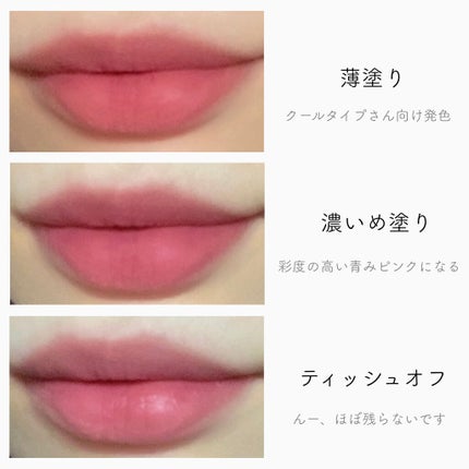 rom&nd ブラーファッジティント/rom&nd/リップティントを使ったクチコミ(3枚目)