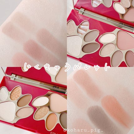 トラ十色アイシャドウパレット/COLORKEY/アイシャドウパレットを使ったクチコミ(1枚目)