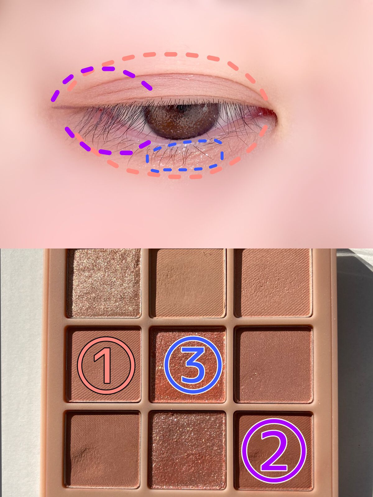 シャドウパレット/dasique/アイシャドウパレットを使ったクチコミ(3枚目)