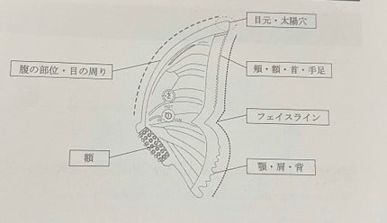 蝶型かっさプレート/Kiboer/美顔器・マッサージを使ったクチコミ(5枚目)