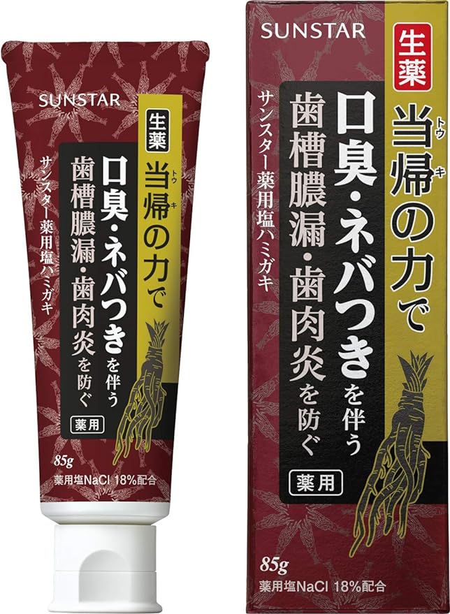 薬用塩ハミガキ スパイシーミント サンスター