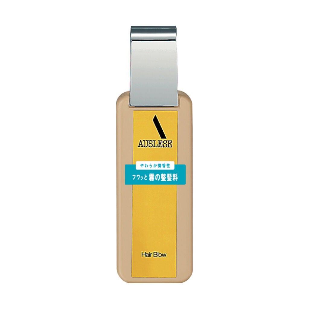 ヘアブローN アウスレーゼ