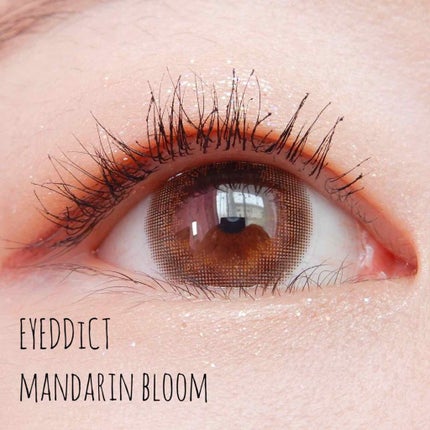 アイディクト byフェアリー/FAIRY/カラーコンタクトレンズを使ったクチコミ(1枚目)