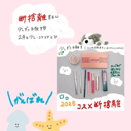 クリエイティブ アイブロウ エレメンツ/IPSA/リキッドアイブロウを使ったクチコミ(3枚目)