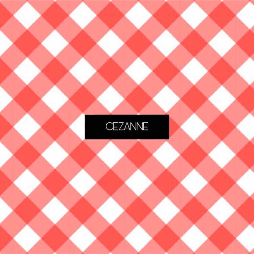 ラスティンググロスリップ/CEZANNE/口紅を使ったクチコミ（1枚目）