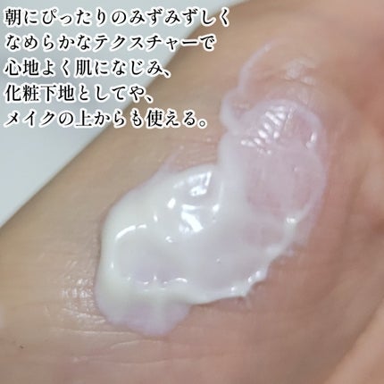 クリーム イン デイ/KANEBO/フェイスクリームを使ったクチコミ(4枚目)