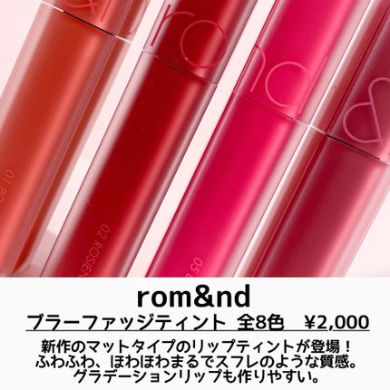 rom&nd ブラーファッジティント/rom&nd/リップティントを使ったクチコミ(2枚目)