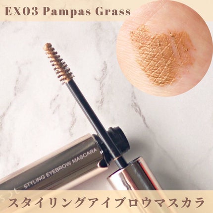 スタイリングアイブロウマスカラ/LUNASOL/眉マスカラを使ったクチコミ(9枚目)
