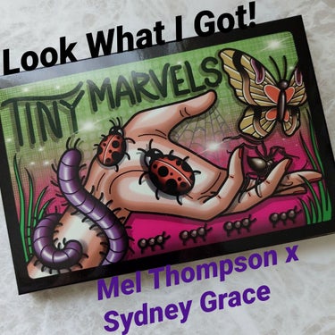 Tiny Marvels Palette/Sydney Grace/アイシャドウパレットを使ったクチコミ（1枚目）