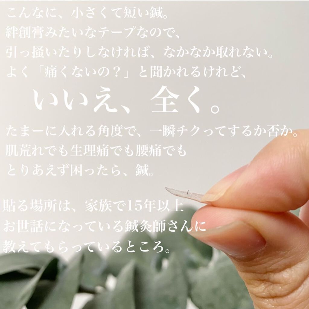 円皮鍼/セイリン/その他を使ったクチコミ(3枚目)