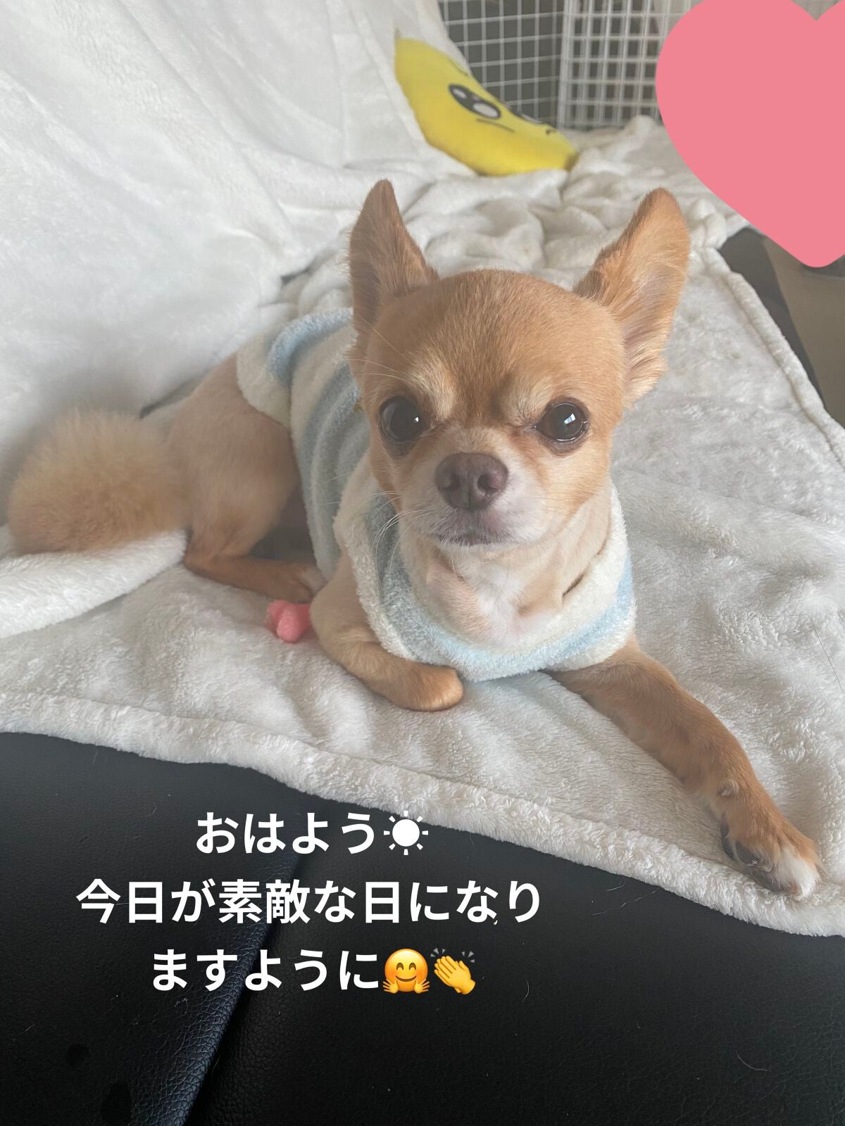 ミニネイル/パラドゥ/マニキュアを使ったクチコミ(8枚目)