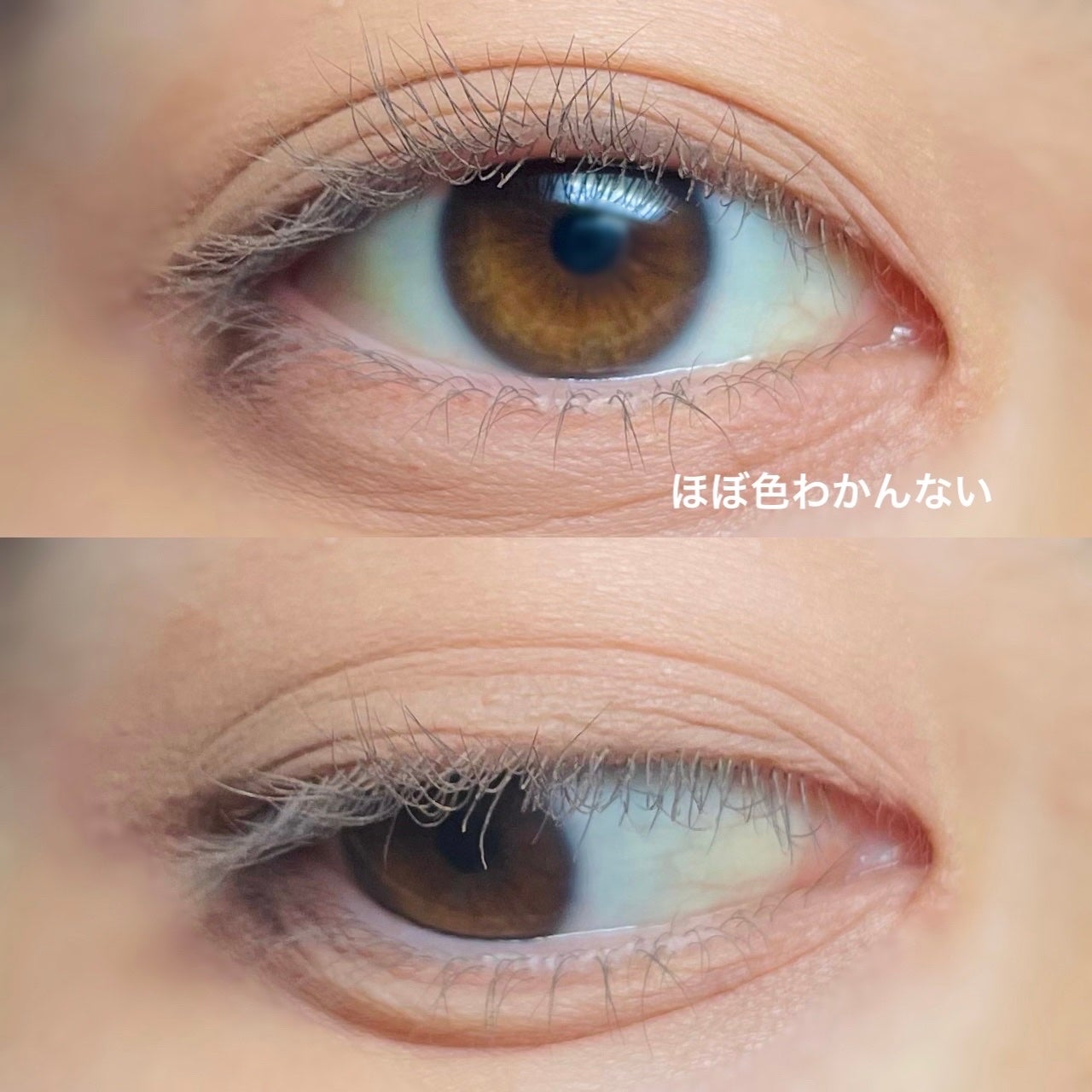 プロ アイ パレット/CLIO/アイシャドウパレットを使ったクチコミ(5枚目)