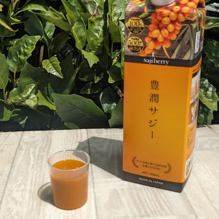 豊潤サジー/フィネス/ドリンクを使ったクチコミ(2枚目)