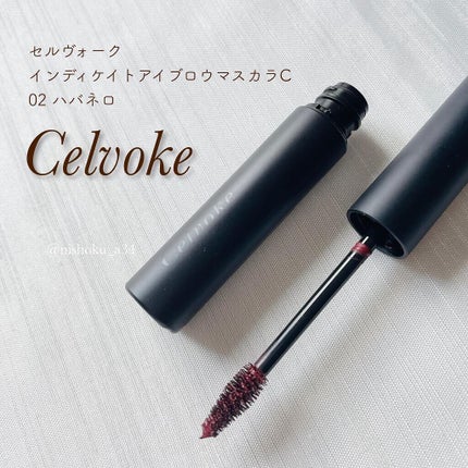 セルヴォーク インディケイトアイブロウマスカラ C/Celvoke/眉マスカラを使ったクチコミ(1枚目)