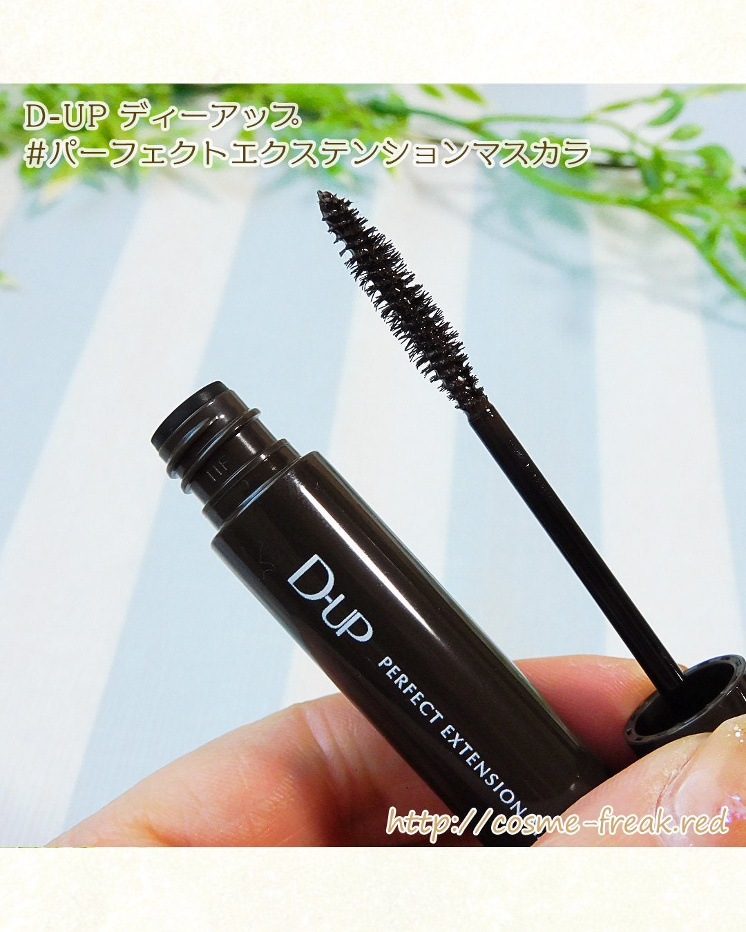 パーフェクトエクステンション マスカラ/D-UP/マスカラを使ったクチコミ(3枚目)