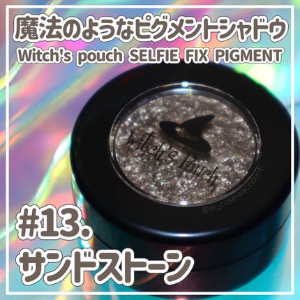 セルフィーフィックスピグメント/Witch's Pouch/単色アイシャドウを使ったクチコミ(1枚目)