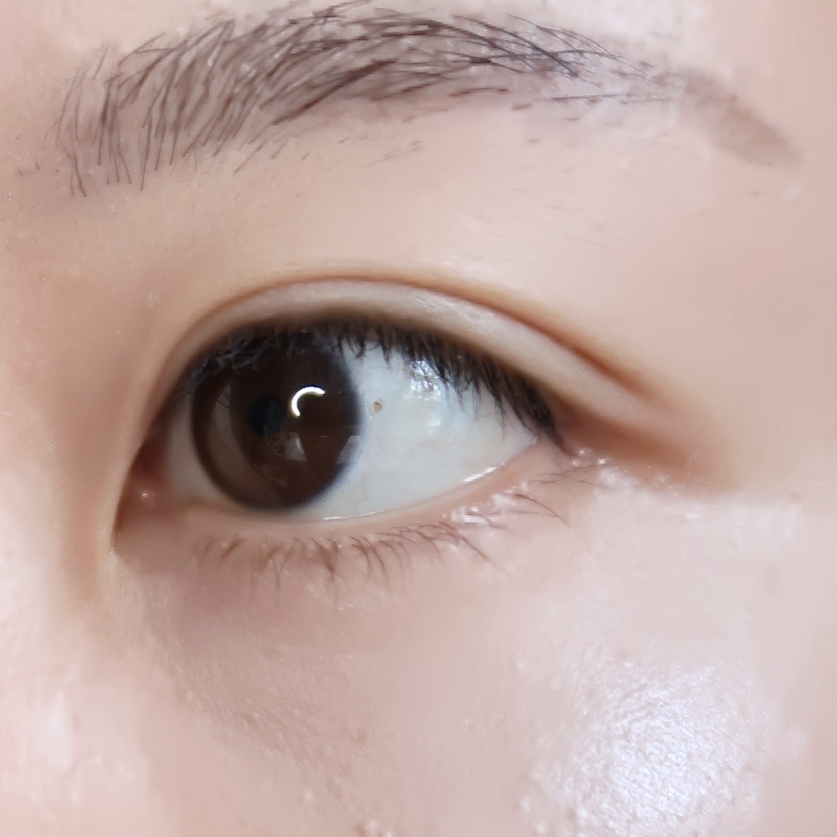 ブロウインク リキッドペン GB-1 グレーブラウン/MAYBELLINE NEW YORK/リキッドアイブロウを使ったクチコミ（3枚目）