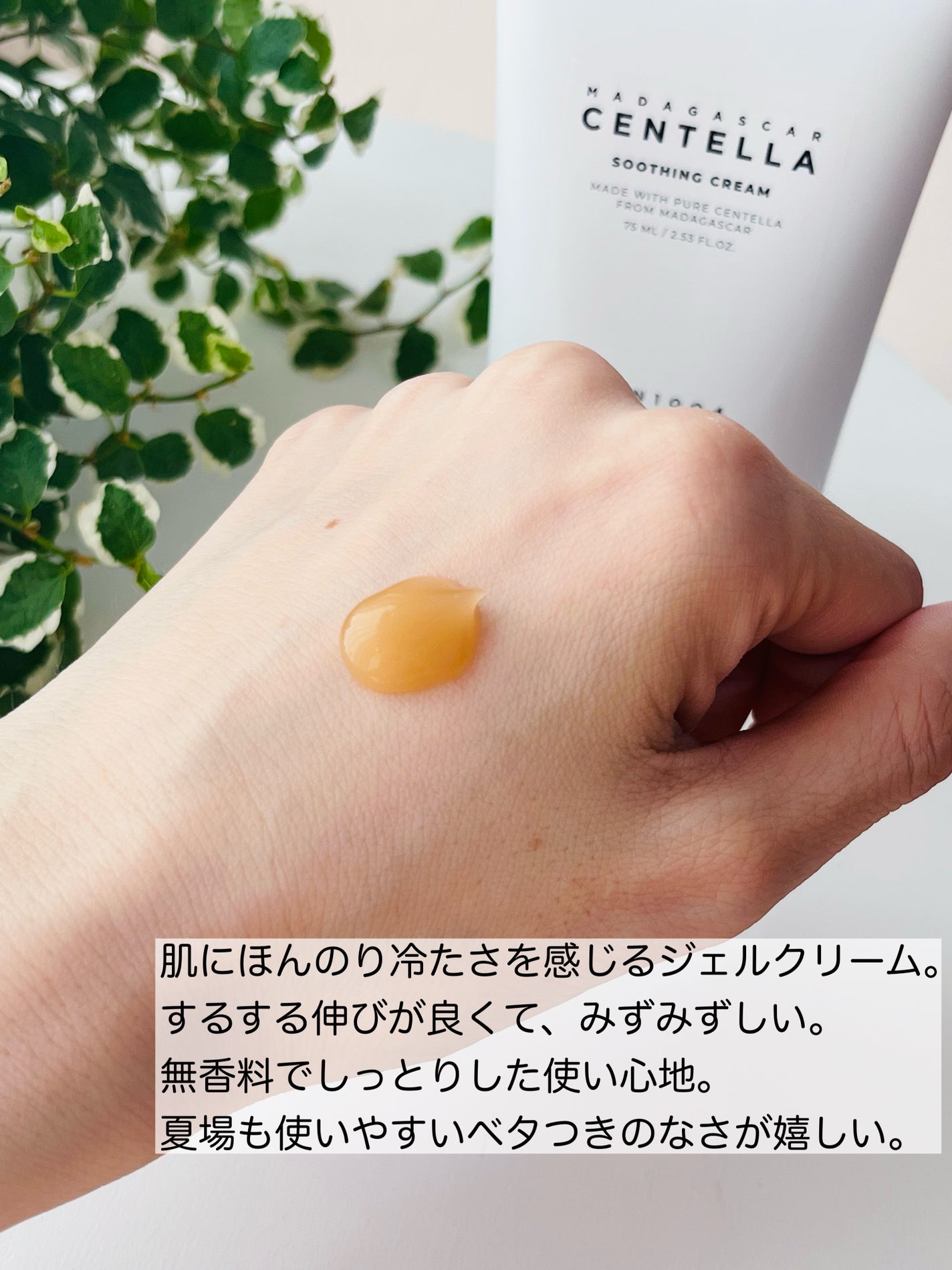 センテラ トーニングトナー/SKIN1004/化粧水を使ったクチコミ(6枚目)