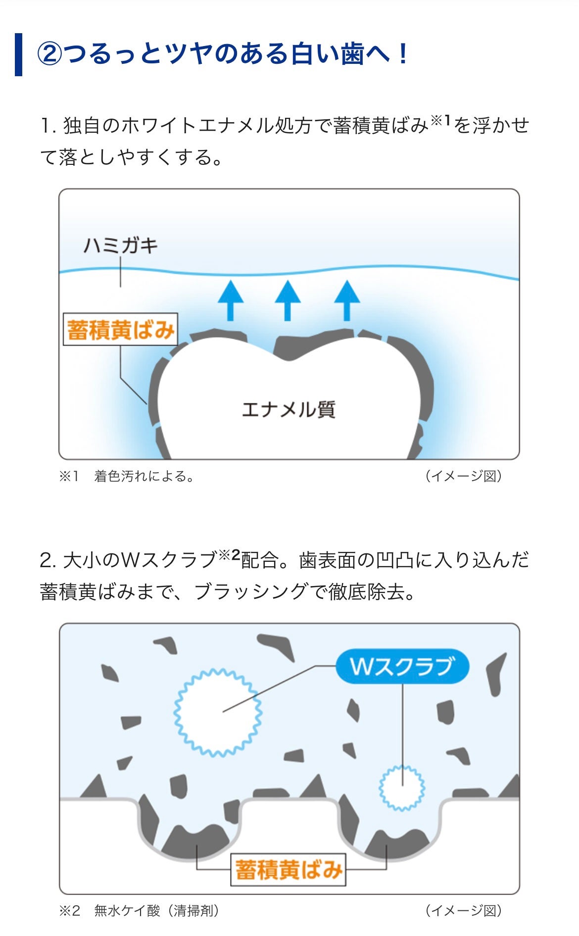 クリニカアドバンテージ+ホワイトニング ハミガキ/クリニカ/歯磨き粉を使ったクチコミ(5枚目)