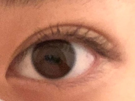 ピメル うそつきマスカラ/pdc/マスカラを使ったクチコミ(2枚目)