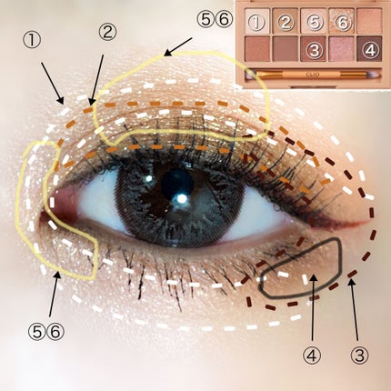 プロ アイ パレット/CLIO/アイシャドウパレットを使ったクチコミ(6枚目)